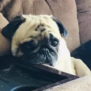 Meet your Posher, Josée